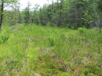 community photo